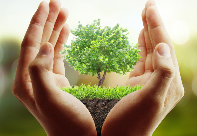 môi trường trong lành