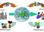 Những biện pháp xử lý rác thải hữu cơ phổ biến nhất hiện nay
