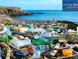 Tác hại của rác thải nhựa đối với môi trường, sinh vật và xã hội