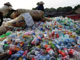 Thực trạng rác thải nhựa ở Việt Nam – những con số đáng báo động 