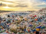 Rác thải nhựa - Mối nguy tiềm ẩn của Việt Nam